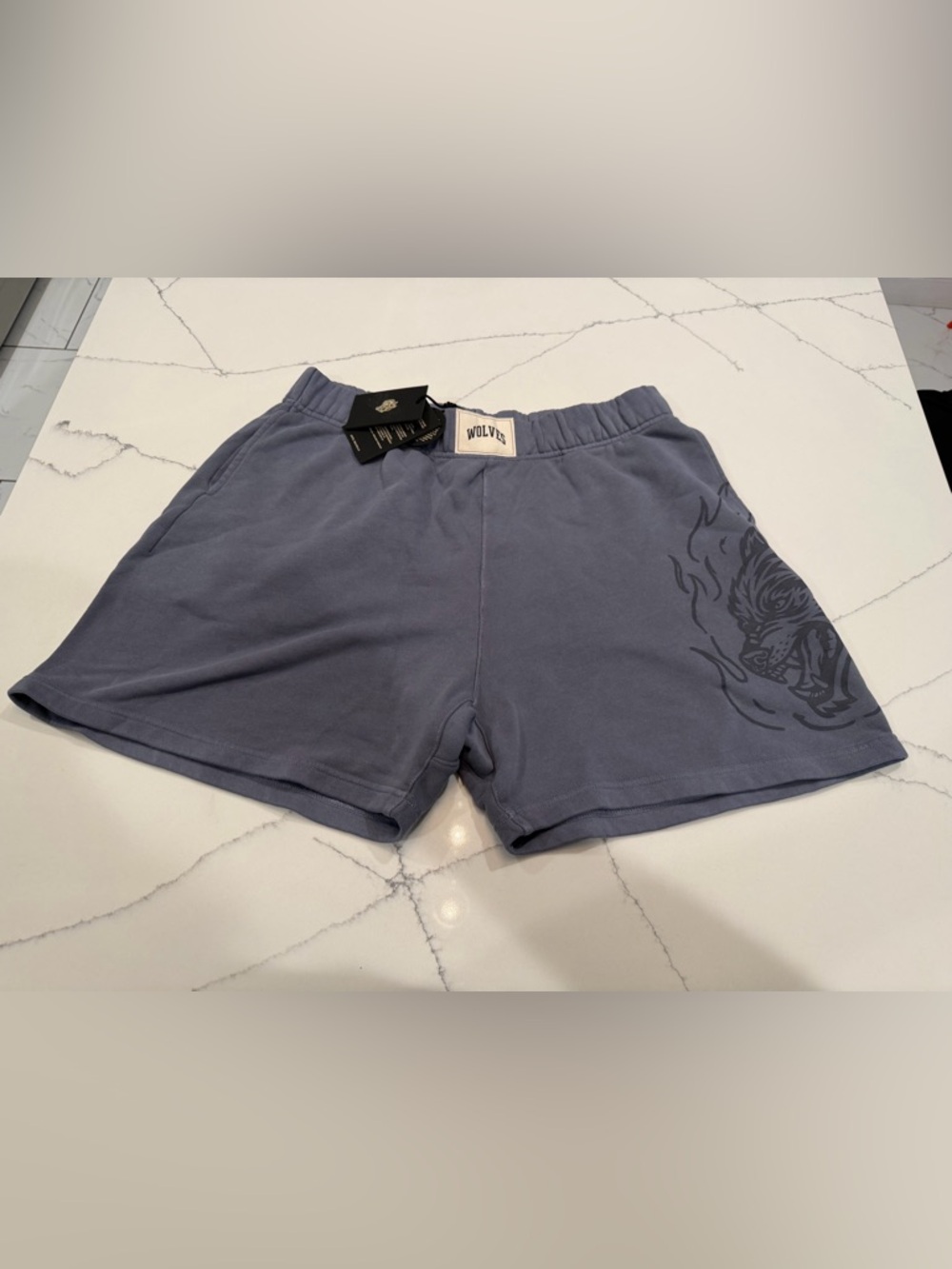Darc Sport WOLVES Dusty Blue Graphic Flame Fleece Shorts